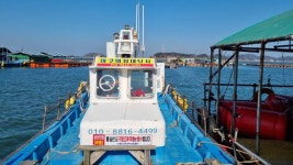 아쿠아좌대 바다낚시조황 > 당진 3월9일 조황 : 낚시사랑