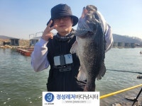 정성바다낚시터 바다낚시조황 > 3월 14일(목) 조황 : 낚시사랑