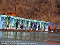 대부도바다낚시터 바다낚시조황 > 2024년 3월 15일 금요일 우럭 조황 : 낚시사랑