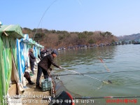 대부도바다낚시터 바다낚시조황 > 2024년 3월 16일 토요일 우럭 농어 조황 : 낚시사랑