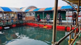 아쿠아좌대 바다낚시조황 > 당진 3월19일 조황 : 낚시사랑