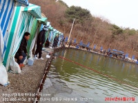 대부도바다낚시터 바다낚시조황 > 2024년 3월 27일 수요일 우럭 농어 조황 : 낚시사랑