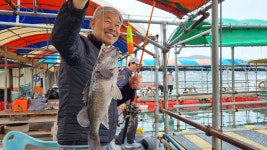 아쿠아좌대 바다낚시조황 > 당진 4월11일 조황 : 낚시사랑