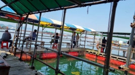 아쿠아좌대 바다낚시조황 > 당진 6월11일 조황 : 낚시사랑