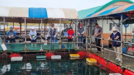 아쿠아좌대 바다낚시조황 > 당진 7월11일 조황 : 낚시사랑