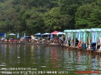 대부도바다낚시터 바다낚시조황 > 2024년 7월 13일 토요일 자바리 홍돔 돌돔 참돔 돗돔 점성어등 조황 : 낚시사랑