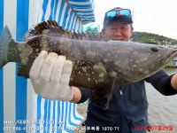 대부도바다낚시터 바다낚시조황 > 2024년 7월 29일 월요일 자바리 홍돔 돌돔 돗돔등 조황 및 홍돔 대량입하 : 낚시사랑