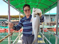 아쿠아좌대 바다낚시조황 > 당진 9월27일 조황 : 낚시사랑