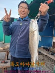 독도바다낚시터 바다낚시조황 > 11월 08일 노지 조황 : 낚시사랑