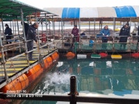 아쿠아좌대 바다낚시조황 > 당진 2월1일 조황 : 낚시사랑