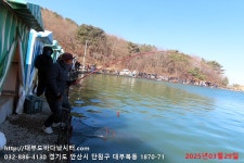 대부도바다낚시터 바다낚시조황 > 2025년 3월 29일 토요일 우럭 농어 참돔 조황 : 낚시사랑