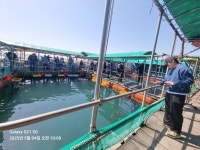 아쿠아좌대 바다낚시조황 > 당진 5월4일 조황 : 낚시사랑
