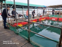 아쿠아좌대 바다낚시조황 > 당진 5월6일 조황 : 낚시사랑