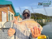 어심바다낚시터 바다낚시조황 > 5월 7일 조황 : 낚시사랑