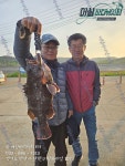 어심바다낚시터 바다낚시조황 > 5월 15일-18일 조황 : 낚시사랑
