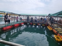 아쿠아좌대 바다낚시조황 > 당진 7월30일 조황 : 낚시사랑