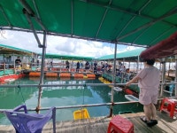 아쿠아좌대 바다낚시조황 > 당진 8월17일 조황 : 낚시사랑