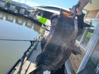 정성바다낚시터 바다낚시조황 > 9월 13일(수) 조황 : 낚시사랑