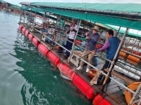 아쿠아좌대 바다낚시조황 > 당진 8월26일 조황 : 낚시사랑