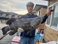 정성바다낚시터 바다낚시조황 > 5월 7일(일) 조황 : 낚시사랑