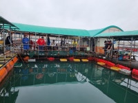 아쿠아좌대 바다낚시조황 > 당진 10월6일 조황 : 낚시사랑