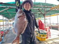 아쿠아좌대 바다낚시조황 > 당진 10월31일 조황 : 낚시사랑