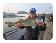 정성바다낚시터 바다낚시조황 > 12월 17일(목) 조황 : 낚시사랑