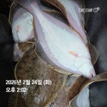 아라바람 바다낚시조황 > 미터급 (왕낙지) 초대박~고고피싱 (동영상) 조황 : 낚시사랑