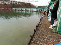 대부도바다낚시터 바다낚시조황 > 2026년 3월 1일 삼일절 우럭 조황 : 낚시사랑