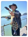 독도바다낚시터 바다낚시조황 > 5월 29일 금요일 노지 조황 : 낚시사랑