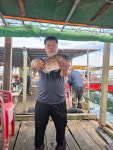 도비도바람 바다낚시조황 > 6/27 도비도 부흥호좌대 조황 : 낚시사랑