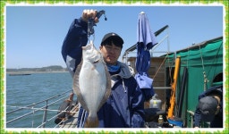 장고항굿맨낚시 > 당진지역 바다 자연식좌대 조황입니다. : 낚시사랑