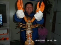 예지바다낚시터 > 예지바다실내낚시터11월18일 랍스터&장어낚시터개장~~ : 낚시사랑