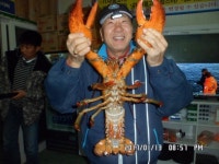 예지바다낚시터 > 예지바다실내낚시터11월18일 랍스터&장어낚시터개장~~ : 낚시사랑