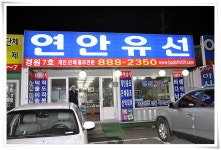 마파도 바다낚시조황 > 연안유선 우럭낚시 여행. : 낚시사랑