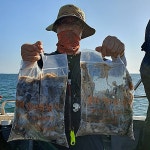 홍원갯바위낚시 > [The Veteran] 홍원항 홍원갯바위낚시 뉴아일랜드호 9월8일 쭈갑이 전원 지퍼백 조황 : 낚시사랑