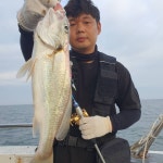 홍원갯바위낚시 > 8월13일 홍원갯바위낚시점 뉴아일랜드호 씨알대박 백조기 ＆ 수조기 ＆ 어름돔 ＆ 문어까지 이벤트 조황 : 낚시사랑