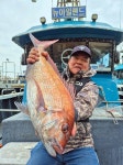 평택본전낚시마트 > 12월2일 평택항배낚시 오늘도 좋은조황을 보여주었습니다. : 낚시사랑
