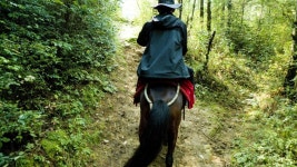 서학천 > 중국여행 운남성 차마고도, 여강고성, 흑룡담공원 : 낚시사랑