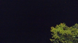 서학천 > 중국여행 운남성 차마고도, 여강고성, 흑룡담공원 : 낚시사랑