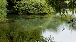 서학천 > 중국여행 운남성 차마고도, 여강고성, 흑룡담공원 : 낚시사랑