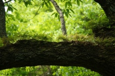 공산노을 > 지리산의 오지마을을 찾아서 : 낚시사랑