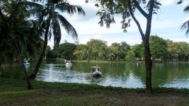 서학천 > 태국여행 2 : 낚시사랑