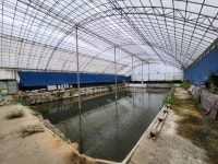 유료터정보 > 유료터 임대/매매 > 공주 정안 낚시터 임대 및 매매 합니다.