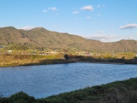 민물수영 > 꽝 친날 왜 ? 사고난 곳으로 2차 낚시 갔을까요? : 낚시사랑