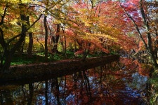 질꾼 > 2016 선운사는...... : 낚시사랑