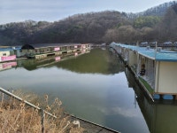 원봉돌추종자 > 지곡낚시터 220수 달성~~!!!!!! : 낚시사랑