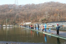 루플스 > 지곡지 송어 입질 양호 : 낚시사랑