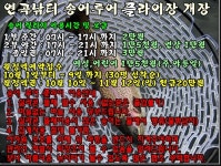 연곡붕어 > ##9월30일(토) 연곡낚시터 송어루어 플라이낚시 개장## : 낚시사랑