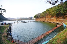 NG디자이너 > 성은에서 송어낚시 첫 도전.. : 낚시사랑